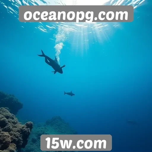 Dicas para otimizar experiência no oceanopg.com